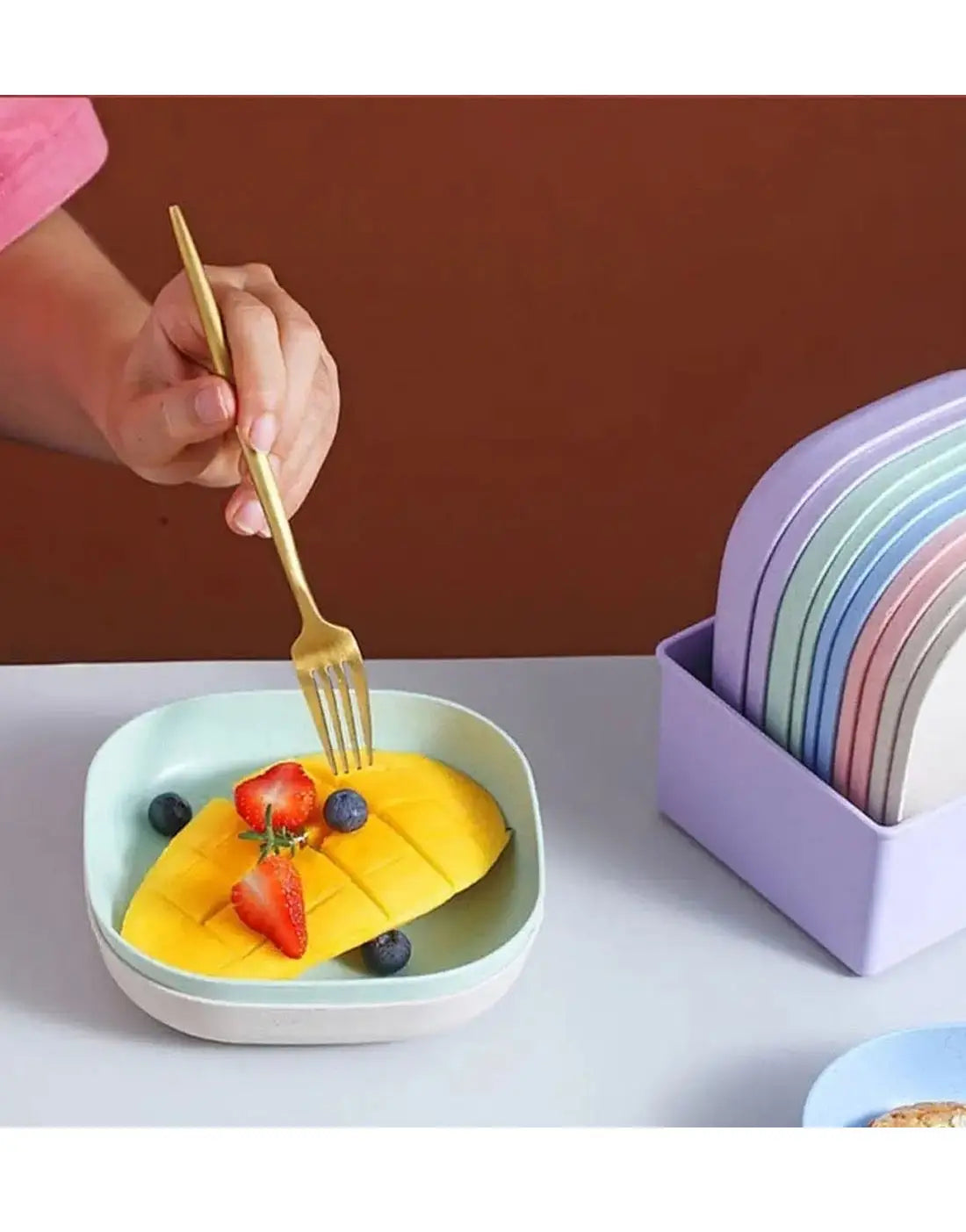 10‑Piece Plastic Reusable Food Plates Set with Stand – Ideal for Snacks and Breakfast
